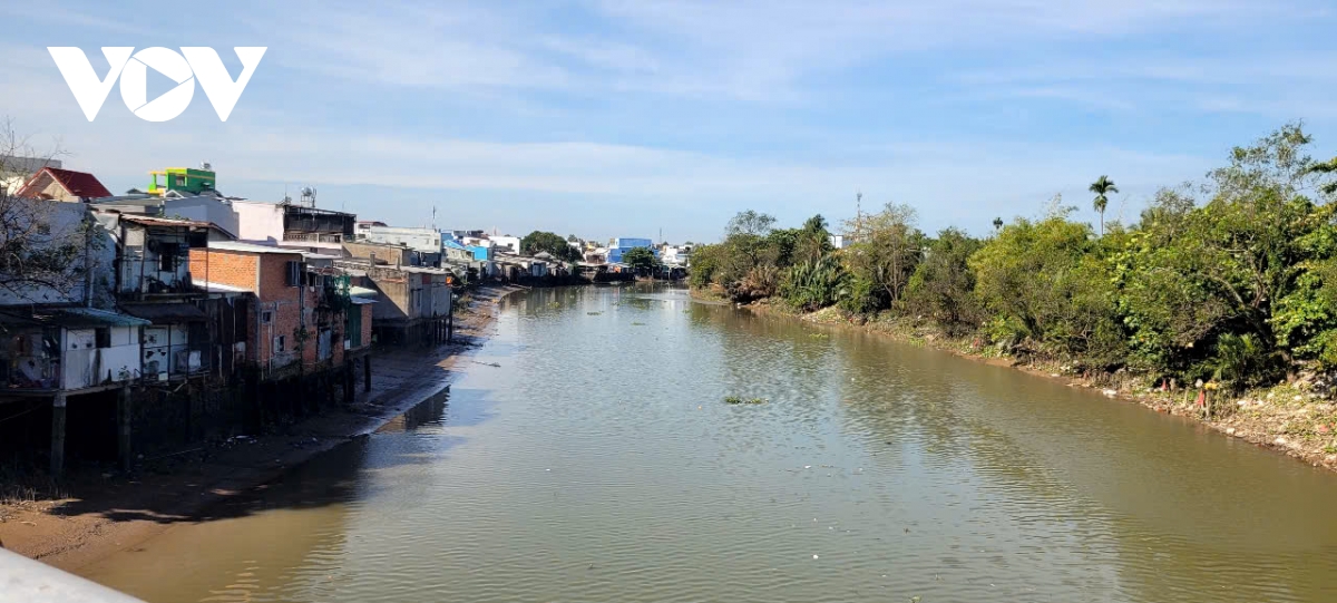 Nông dân vùng hạ lưu Đồng Tháp, Vĩnh Long khẩn trương ứng phó xâm nhập mặn